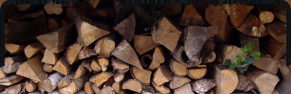 Gewoon Buiten Gewoon