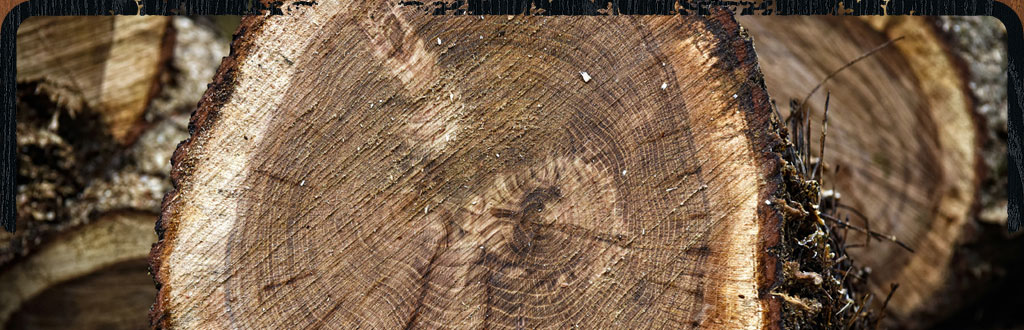 Gewoon Buiten Gewoon